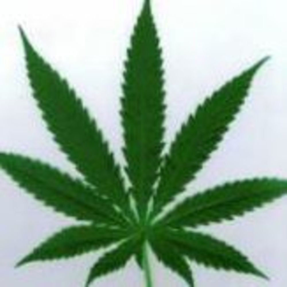 Meet your Posher, Henry